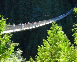 Capilano Bridge